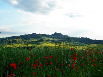 La Via Francigena